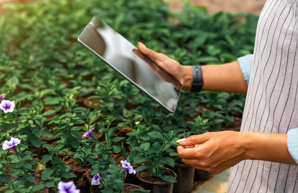 Fóliavezérlés vezérlő rendszer