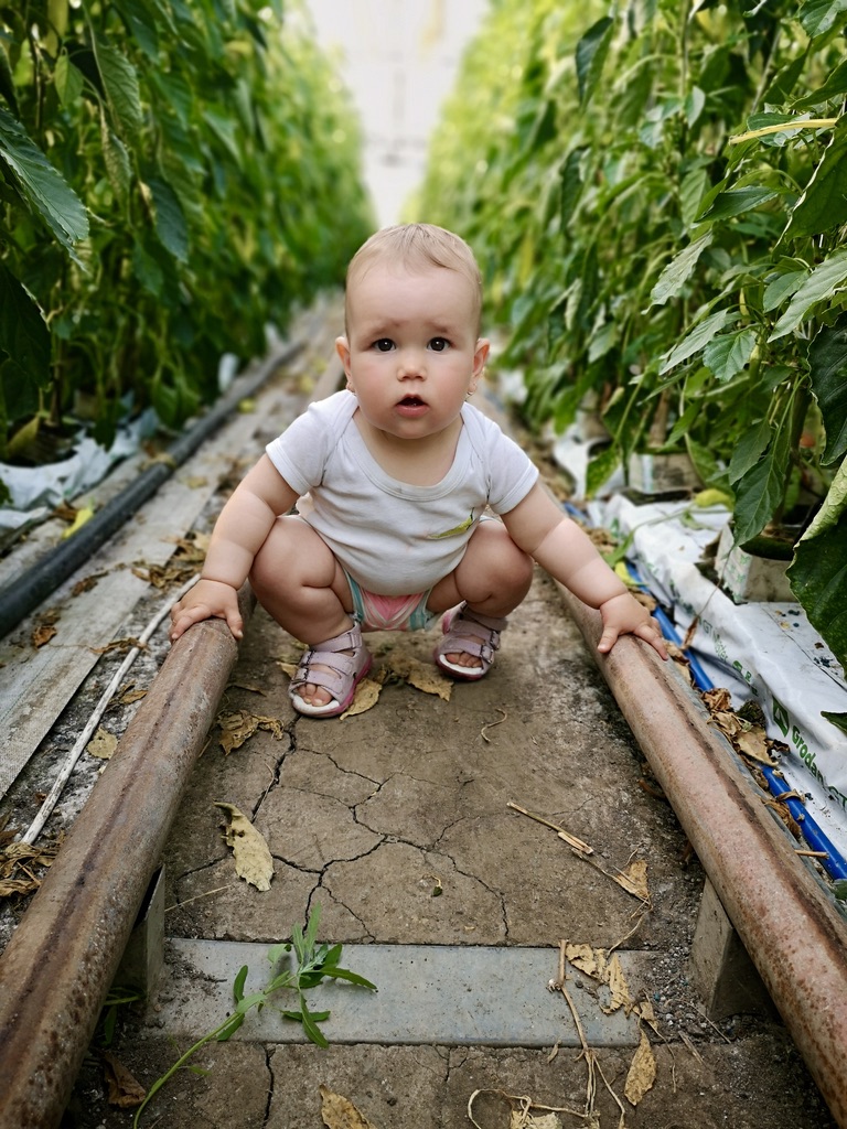 Fóliavezérlés telepítés